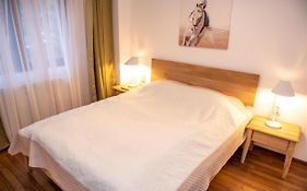 Classic Apartment Near The City Center