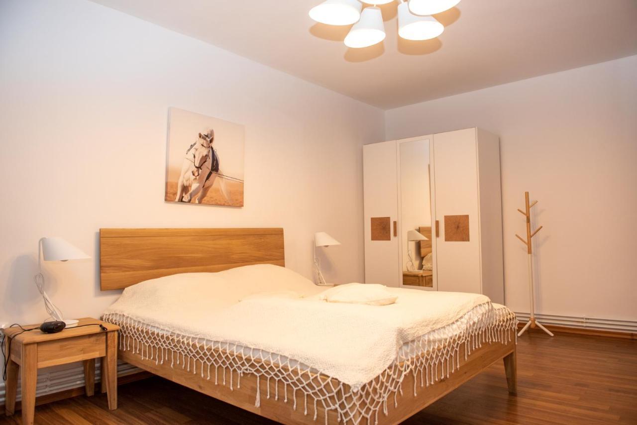 Classic Apartment Near The City Center Cluj-Napoca Exterior foto