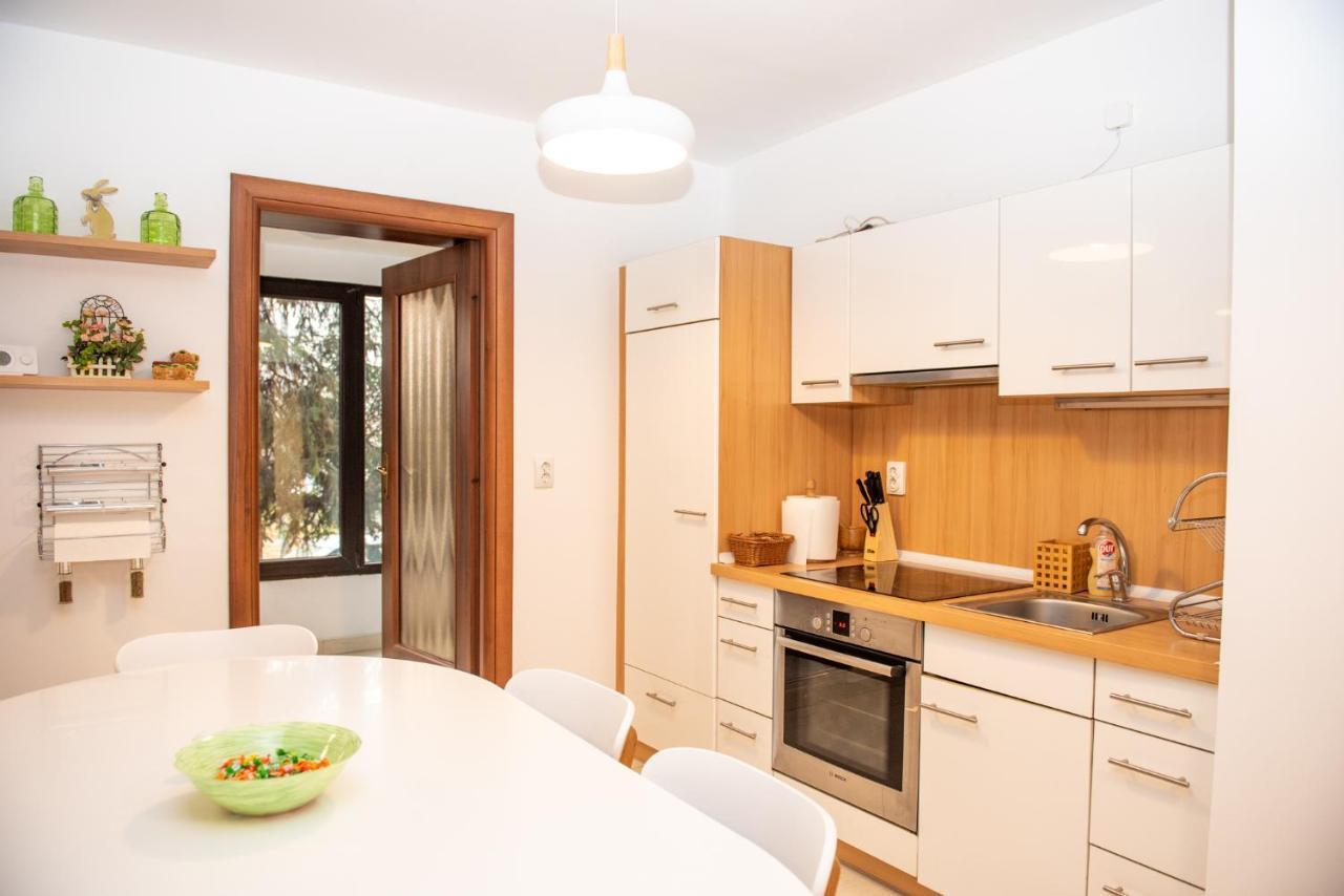 Classic Apartment Near The City Center Cluj-Napoca Exterior foto