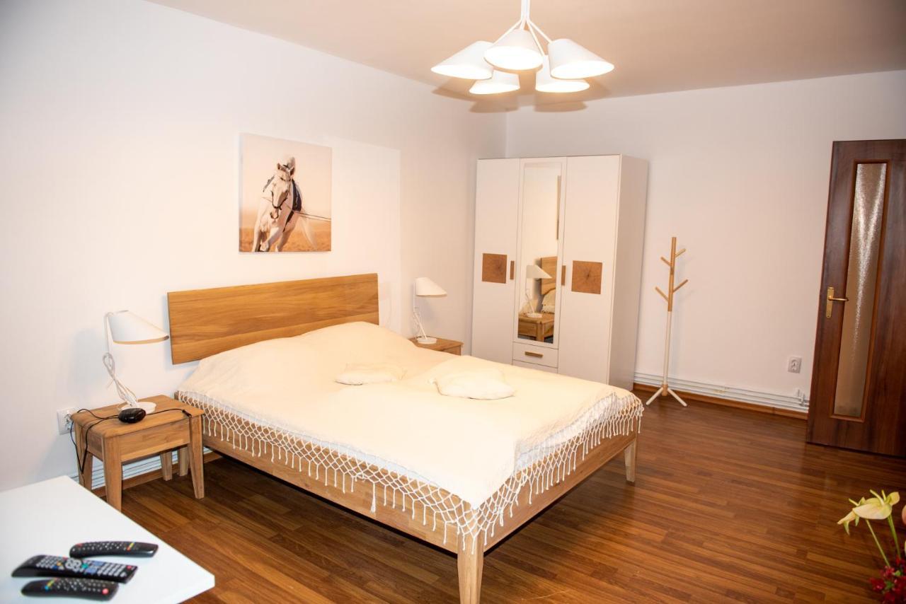 Classic Apartment Near The City Center Cluj-Napoca Exterior foto